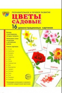 Книга Демонстрационные картинки 