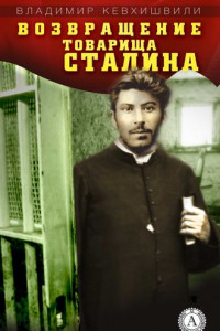 Книга Возвращение товарища Сталина