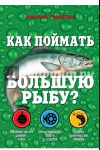Книга Как поймать большую рыбу?