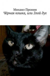 Книга Чёрная кошка, или Злой дух