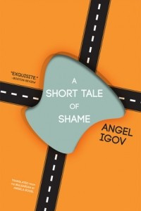 Книга A Short Tale of Shame