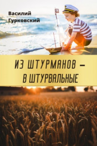 Книга Из штурманов – в штурвальные