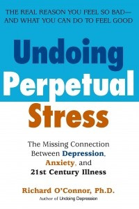 Книга Undoing Perpetual Stress: The Missing Connection Between Depression, Anxiety and 21stCentury Illness