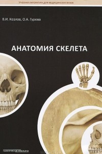 Книга Анатомия скелета. Учебное пособие