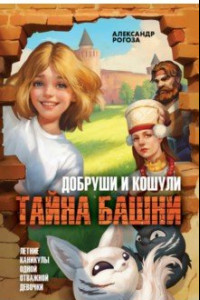 Книга Добруши и кошули. Тайна башни