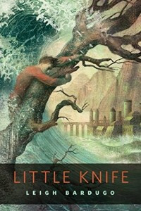 Книга Little Knife