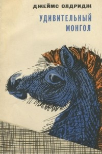 Книга Удивительный монгол
