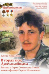 Книга В горах под Джелалабадом. Рассказ о Герое Советского Союза воине-афганце Сергее Игольченко