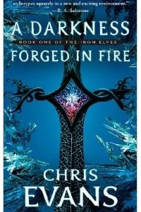 Книга A Darkness Forged in Fire (Iron Elves)