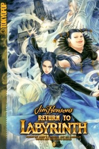Книга Return to Labyrinth, vol. 3