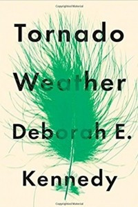 Книга Tornado Weather