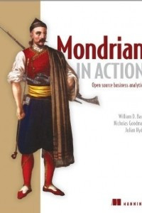 Книга Mondrian in Action: Open source business analytics