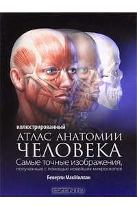 Книга Иллюстрированный атлас анатомии человека
