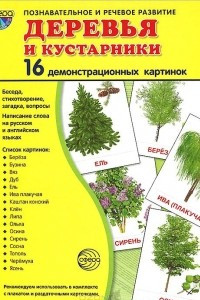 Книга Деревья и кустарники (набор из 16 демонстрационных картинок)