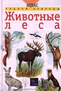 Книга Животные леса