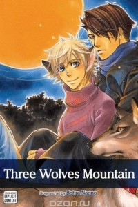 Книга Three Wolves Mountain