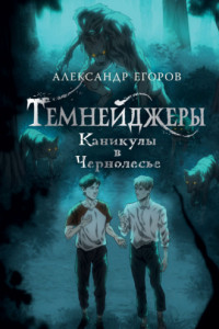 Книга Темнейджеры. Каникулы в Чернолесье