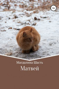 Книга Матвей