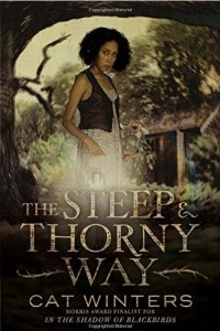 Книга The Steep and Thorny Way