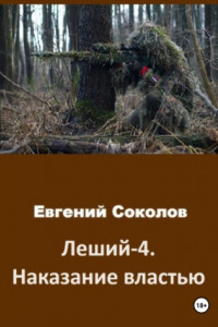 Книга Леший-4. Наказание властью