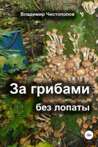 Книга За грибами без лопаты