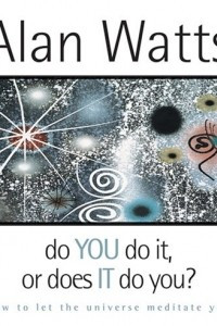 Книга Do You Do It or Does It Do You?: How to Let the Universe Meditate You
