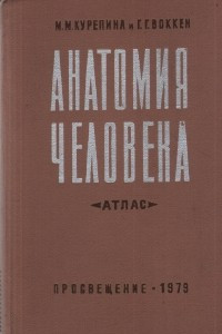 Книга Анатомия человека. Атлас