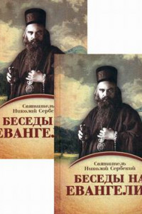 Книга Беседы на Евангелие. В 2 кн