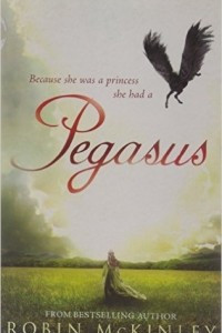 Книга Pegasus