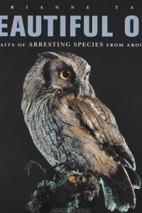 Книга Beautiful Owls