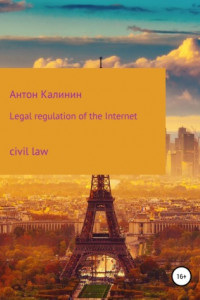 Книга Legal regulation of the Internet