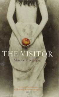 Книга The Visitor