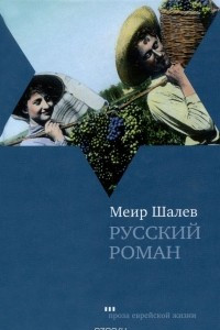 Книга Русский роман
