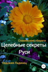 Книга Целебные секреты Руси. Славянские обереги