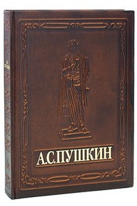 Книга А. С. Пушкин