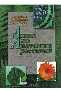 Книга Атлас по анатомии растений
