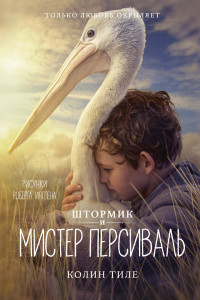 Книга Штормик и мистер Персиваль