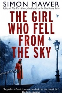 Книга The Girl Who Fell from the Sky