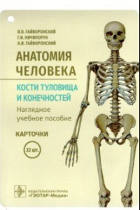 Книга Анатомия человека. Кости туловища и конечностей. Карточки