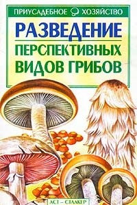 Разведение перспективных видов грибов