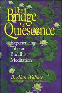 Книга The Bridge of Quiescence. Experiencing Tibetan Buddhist Meditation