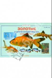 Книга Золотые и другие холодноводные аквариумные рыбки
