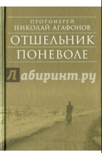 Книга Отшельник поневоле