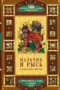 Книга Мальчик и рысь и другие истории о животных