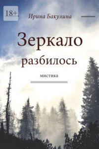 Книга Зеркало разбилось