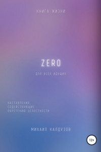 Книга Zero