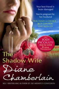 Книга The Shadow Wife