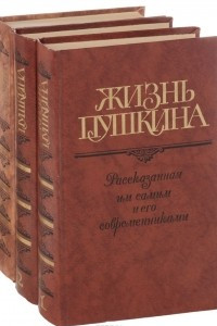 Книга Жизнь Пушкина. Последний год жизни Пушкина