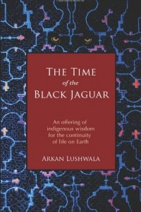 Книга The Time of the Black Jaguar: An Offering of Indigenous Wisdom for the Continuity of Life on Earth