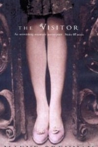 Книга The Visitor